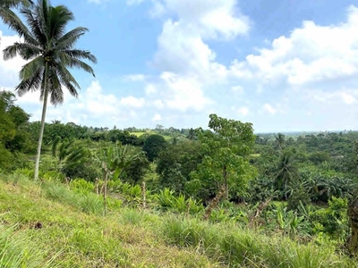 Lot For Sale In Maymangga, Amadeo