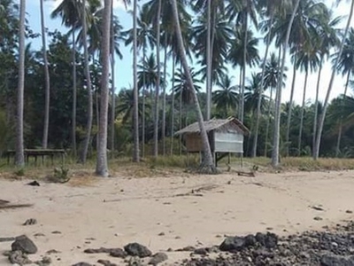 Lot For Sale In Panitian, Quezon