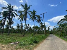 Residential Farm Lot in Pacheco Magallanes Cavite