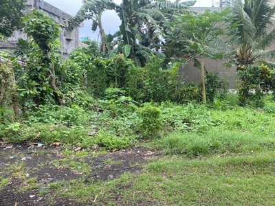 Lot For Sale In Bagumbayan, Ligao