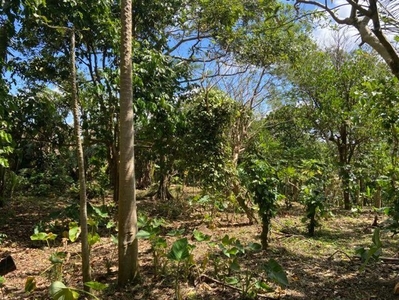Lot For Sale In Mangas I, Alfonso