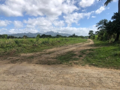 Lot For Sale In Palincaro, Tuy