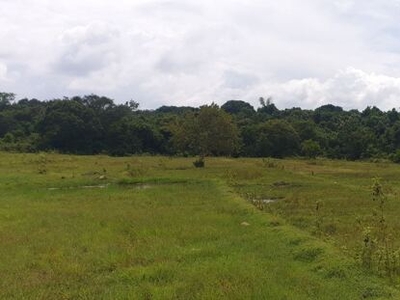 Lot For Sale In Santo Tomas, Palauig