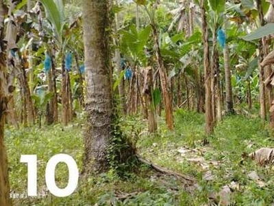 Lot For Sale In Toril, Davao