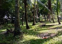 Lot for sale in Bacong