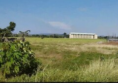 7 hectares lot in Balayan beside San Miguel Coliseum