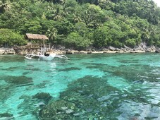 Beach line Property in samal For Sale Philippines