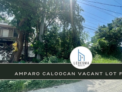For Sale! Amparo Caloocan Vacant lot on Carousell