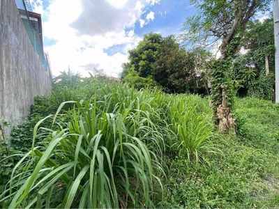 Prime Lot in Tierra Verde 2 Quezon City for sale on Carousell