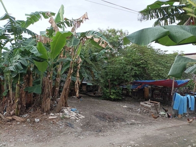 Private Lot for Sale 180sqm Pulang Lupa Dos Las Pinas on Carousell