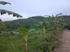 Farm lot in Talipusngo, Maragondon, Cavite