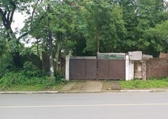 LOT FOR SALE WITH OLD BUNGALOW HOUSE LOCATED ALONG SAMPAGUITA ST. BRGY. PASONG TAMO, QUEZON CITY