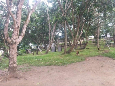 1 Hectare Farm for sale pwede installment on Carousell