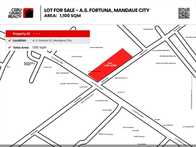 1100 SqM Commercial Lot for Rent in Mandaue City on Carousell