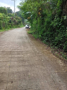 1.3 Hectares Lot For Sale Indang Cavite on Carousell