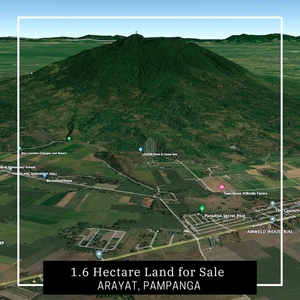 1.6 Hectare Land for Sale in Arayat