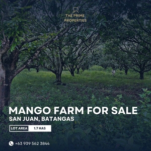 1.7 Hecatres Mango Farm for Sale in San Juan