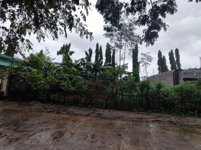 240 SQM Lot for sale in Northern Hills Subdivision Tarlac on Carousell