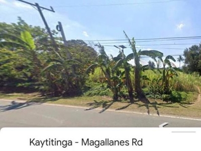2.5 HAS Farm Lot for SALE in Magallanes Cavite on Carousell