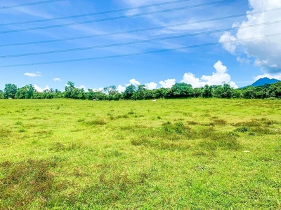 31K SQM Lot for Sale Tanauan Batangas Near Star Tollway Agricultural Farm Lot Land Property