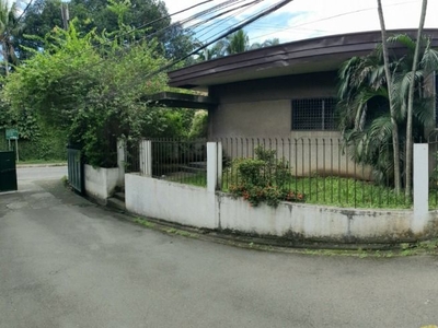 425 SQM lot with Old Structure for Sale (Selling at lot value) on Carousell