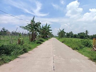 500 SQM Farm Lot for sale in Magallanes Cavite on Carousell