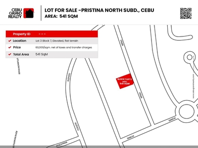 541 SqM Lot for Sale in Pristina North Talamban on Carousell