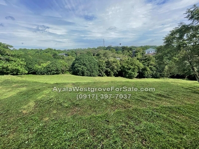 709sqm (₱70K/sqm) Ayala Westgrove Heights Lot For Sale on Carousell