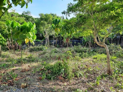 900 sqm Lot For Sale in BORACAY!!! on Carousell