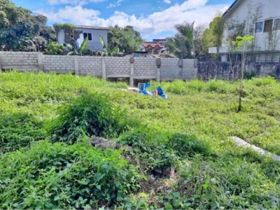 Ayala Heights Village QC lot for sale on Carousell