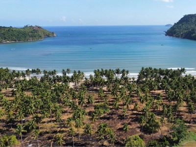 EL NIDO PALAWAN BEACH FRONT FOR SALE on Carousell