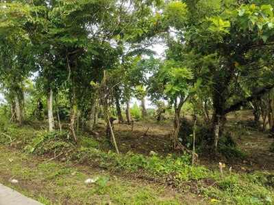 FARM LOT FOR SALE IN AMADEO CAVITE on Carousell