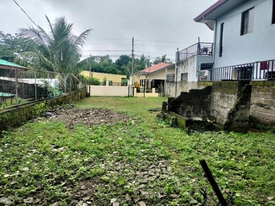 Farm Lot with fruit bearing trees for sale on Carousell