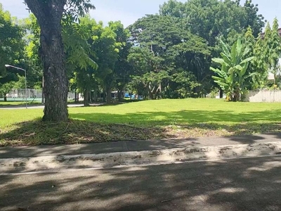 First Class Lot For Sale in Manila Southwoods Residential Estates. Open for Bank Financing on Carousell