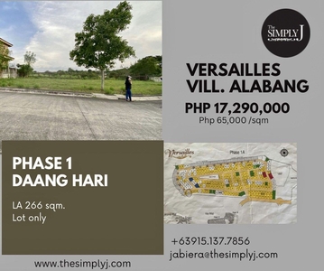FOR SALE: 266 sqm Versailles Alabang on Carousell