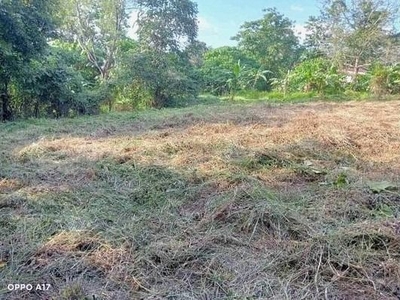 For Sale 2691sqm Lot in Victoria Valley (Valley Golf) on Carousell