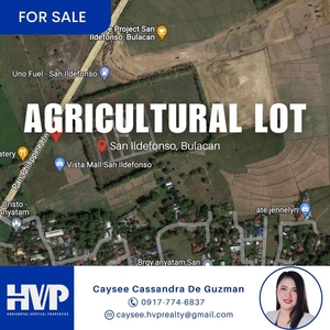 FOR SALE: Agricultural Lot - on Carousell