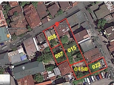For Sale Commercial Lot M. Tengco St