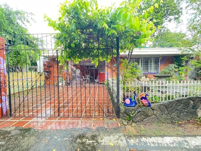 For Sale Lot with Old Sprawling One Storey House in BF Homes on Carousell