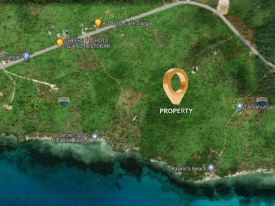 For Sale: Vacant Beach Lot in Siargao with Clean Title and Tax Dec on Carousell