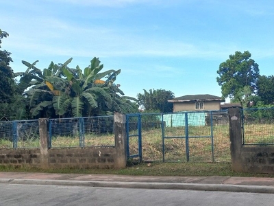 For Sale: Vacant Lot in Marikina City
(For Investment on Carousell