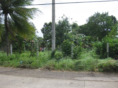 For Sale Vacant Lot in Paglaum Village