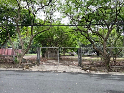 Forbes Park Vacant Lot FOR SALE! on Carousell
