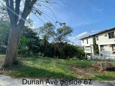 Good Deal! Lot For Sale in Ayala Westgrove Heights