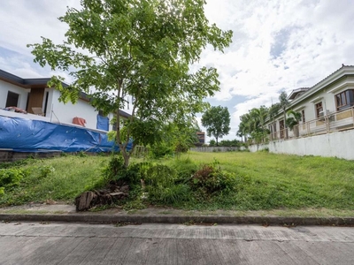 Good Investment 800SQM. Lot Facing East For Sale in Apitong St. Ayala Alabang Village on Carousell