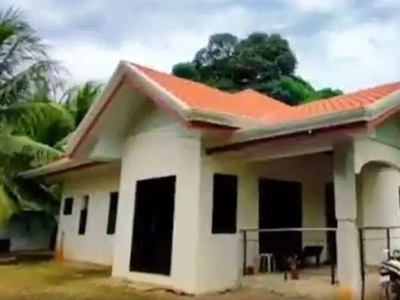 House and Lot for Sale in Panglao Is. on Carousell