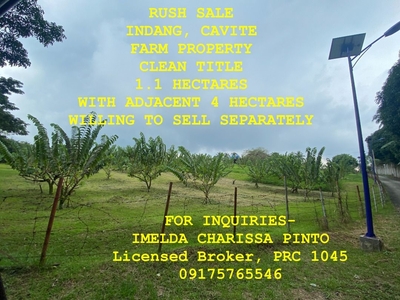 Indang Cavite Farm Property For Sale on Carousell