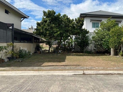 Jubilation West Lot For Sale on Carousell