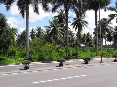 Lot For Sale 2.5 Hectares Along National Highway (Canocotan