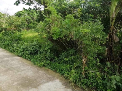 lot for sale amadeo 574 sqrm on Carousell